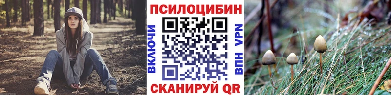 Галлюциногенные грибы мухоморы  Нолинск 